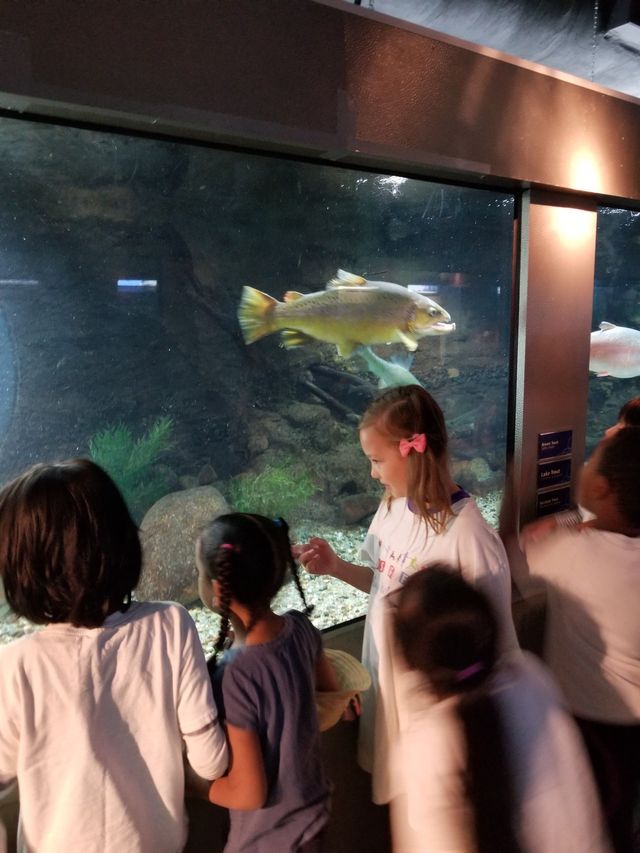 kids fishes of alberta